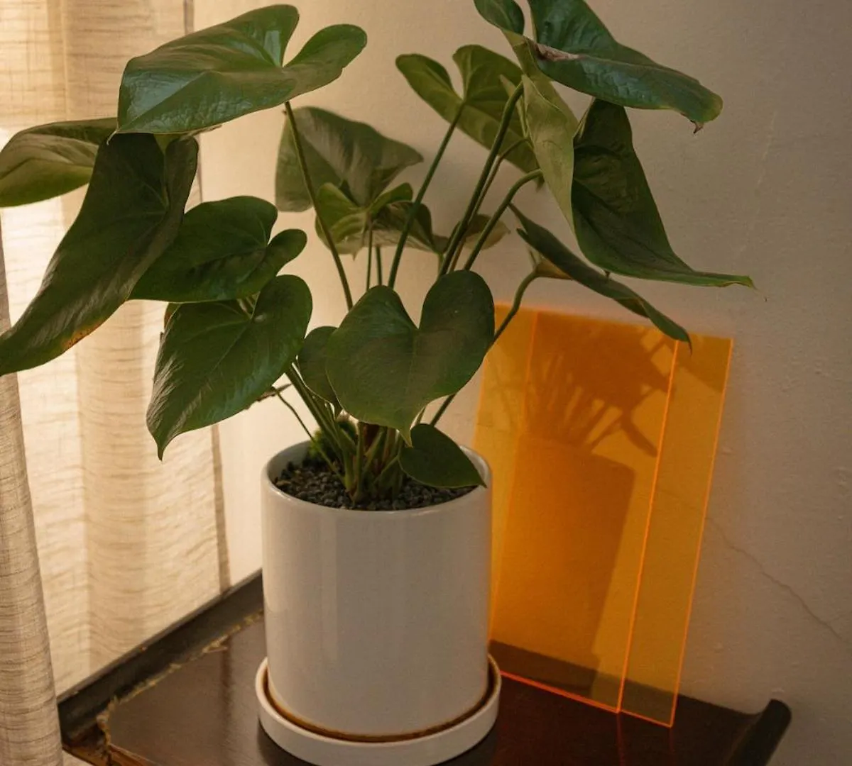 Homigraound Yeongdeungpo Apartment Seoul South Korea